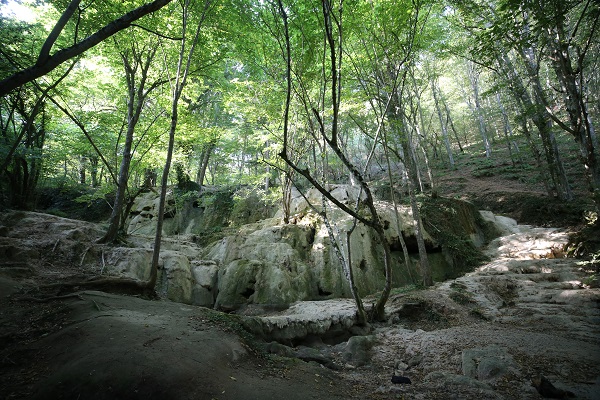 Çok üzücü! Tam 5 şelale susuz kaldı