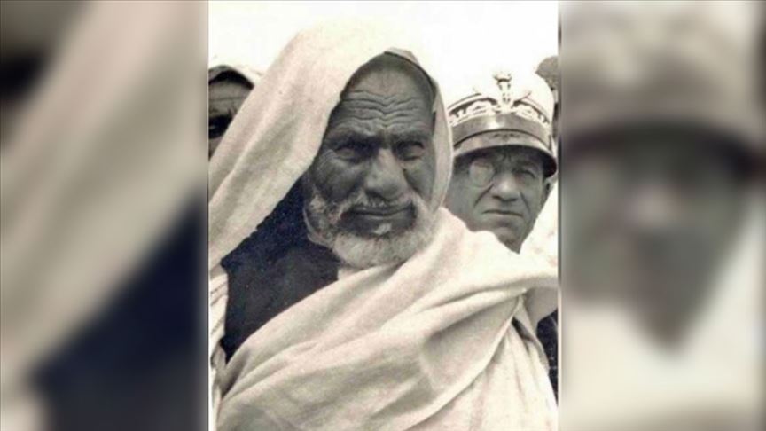 Çöl Aslanı: