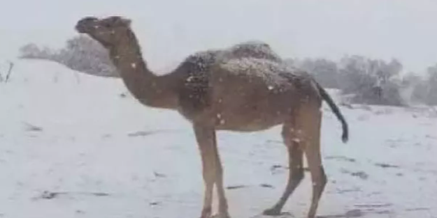 Çöl bölgesi beyaza büründü