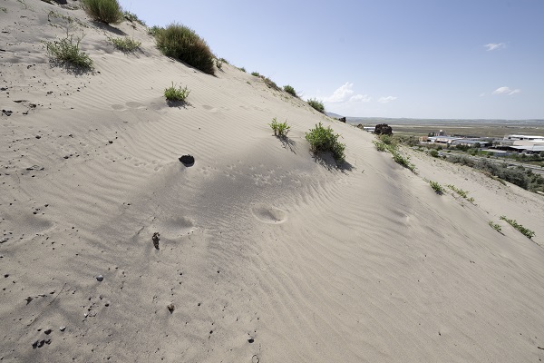 Çöle gitmek mi istiyorsunuz?
