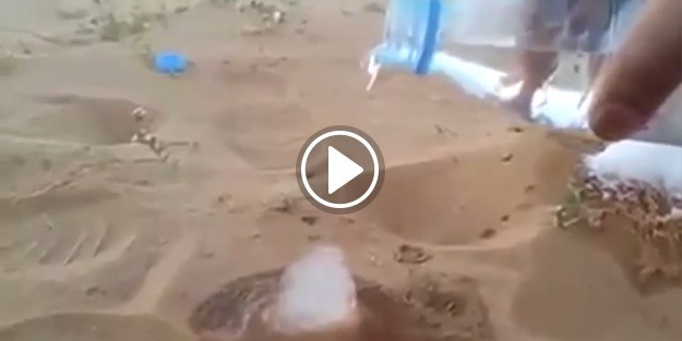 Çölün ortasında kuma su dökülünce bakın neler oluyor!