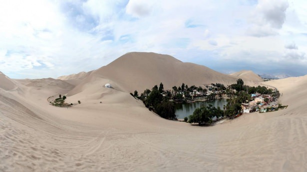 Çölün ortasında muhteşem hayat