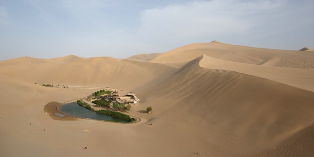 Çölün ortasında şaşırtan hayat - FOTO