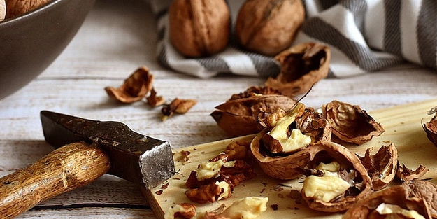 Çöp diye atıyorduk, saç dökülmesini durdurduğu kanıtlandı: Ceviz birçok derdi sona erdirdi! Meğer...