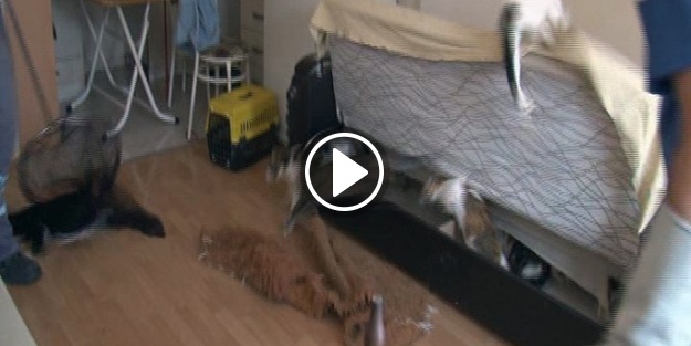 Gözlerinize inanamayacaksınız!