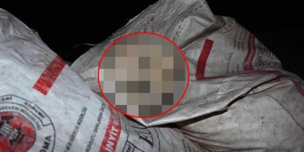 Çöp konteynırında bulundu!