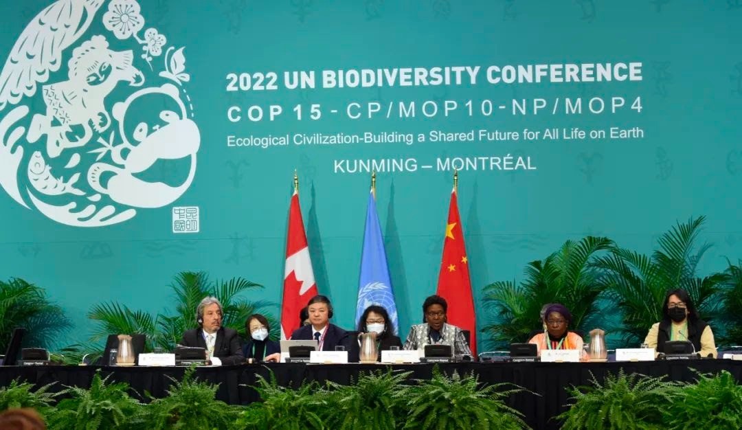 COP15 ikinci aşama üst düzey toplantısı Kanada’da yapıldı