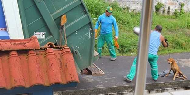 Köpeği canlı canlı çöp kamyonuna attı!