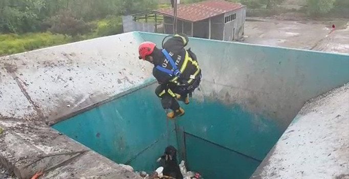 Çöpe düşen köpeği itfaiye kurtardı