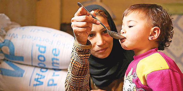 Çöpe giden gıdanın 4’te 1’i 800 milyonu doyurur! Dünyada israfın önüne geçilse aç insan kalmaz