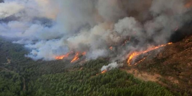 Çöpleri temizlemek için yakılan ateş 2 hektarlık alanı küle çevirdi