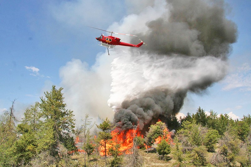 Çöplükte çıkan yangın ormana sıçradı: Alaçatı'da orman yangını başladı