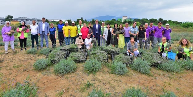 Çöplükten dönüştürülen tarlada 