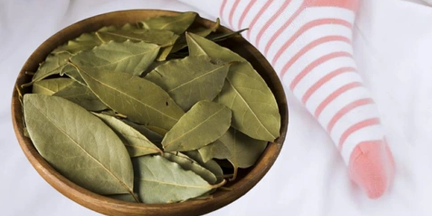 Çorabınızın içine 1 tane defne yaprağı koyun o dertten kurtulun!