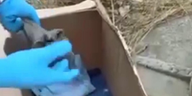 Çorapların içinden resmen cephanelik çıktı