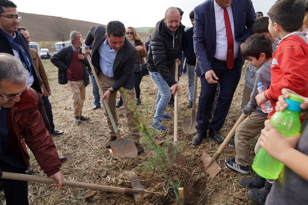 Çorlu Öğretmenler Ormanı büyüyor 