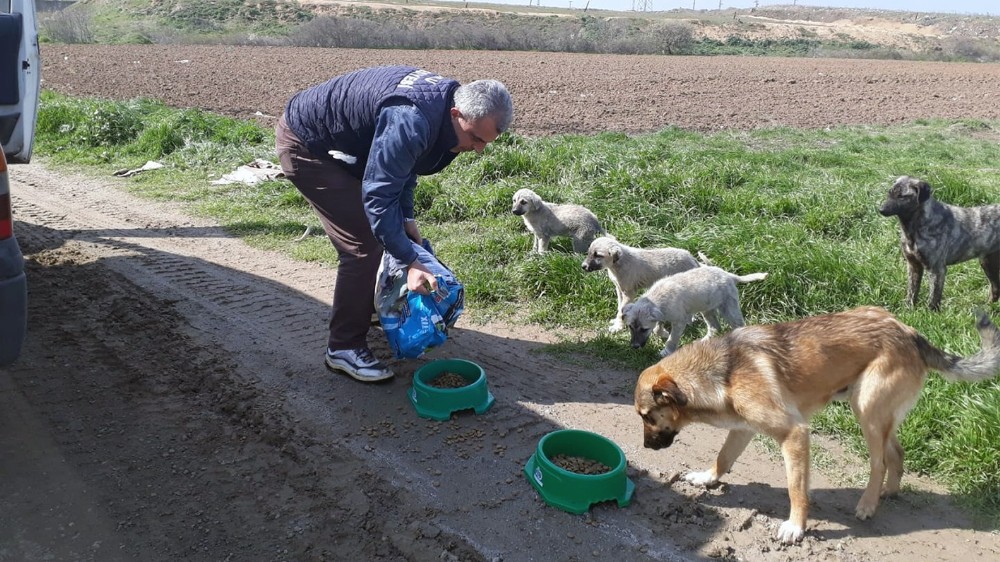 Çorlu’da sokak hayvanları unutulmuyor 