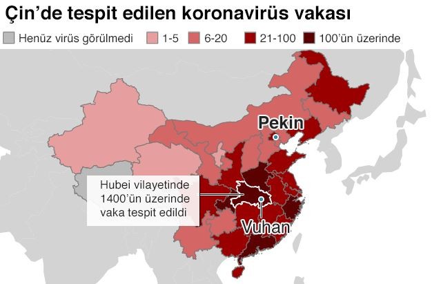 Corona virüsünden kaç kişi öldü? Çin'de son durum!