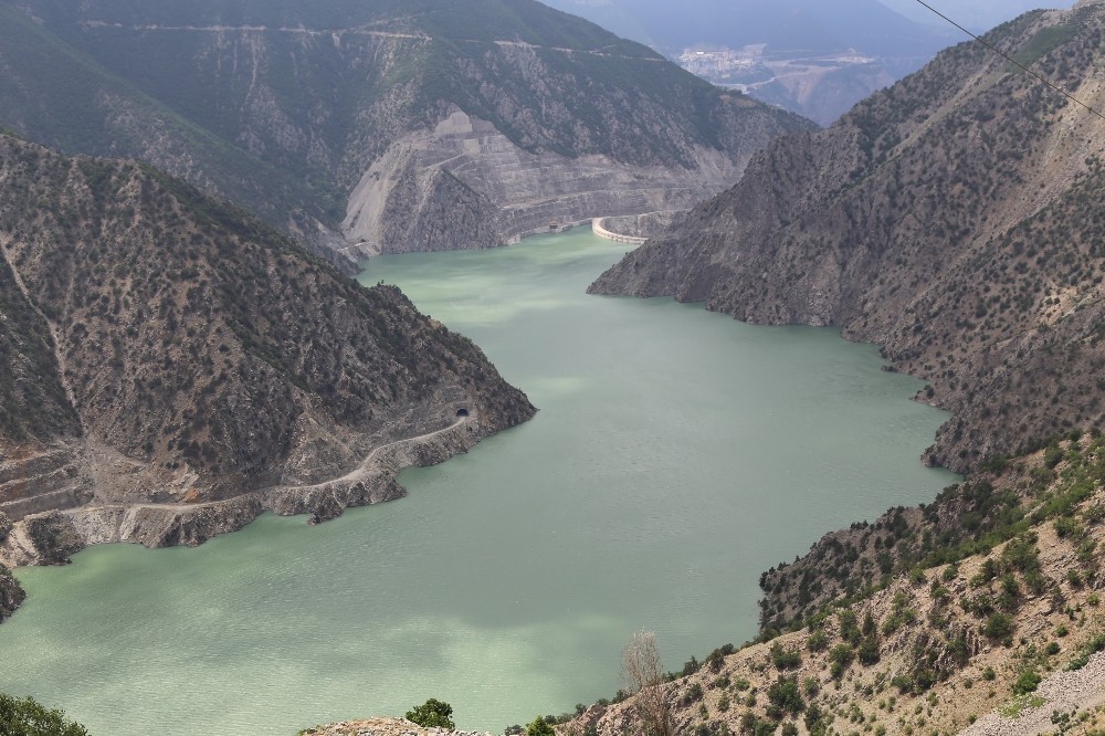 Çoruh nehri yeşile büründü 