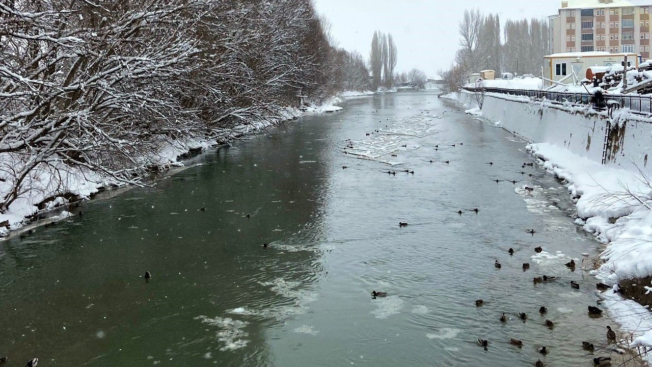 Çoruh Nehri’ne akın ettiler