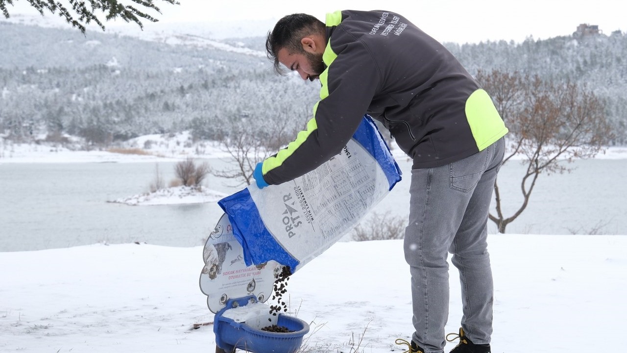 Çorum Belediyesi doğadaki canlıları unutmuyor