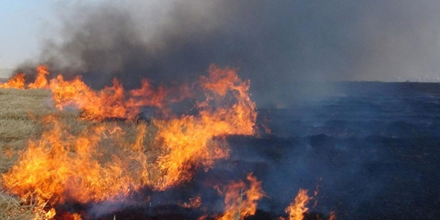 Çorum'da anız yangınında yüzlerce dönümlük alan zarar gördü
