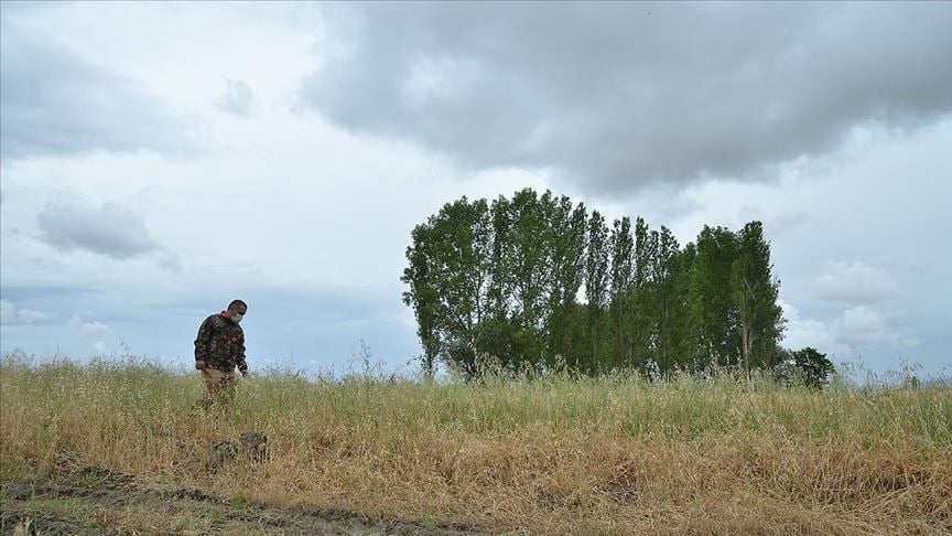 Çorum'da doğa koruma ekipleri ile avcılar 'aslan' izi sürdü