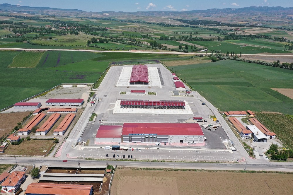 Çorum’da hayvan pazarı yeniden açılıyor 