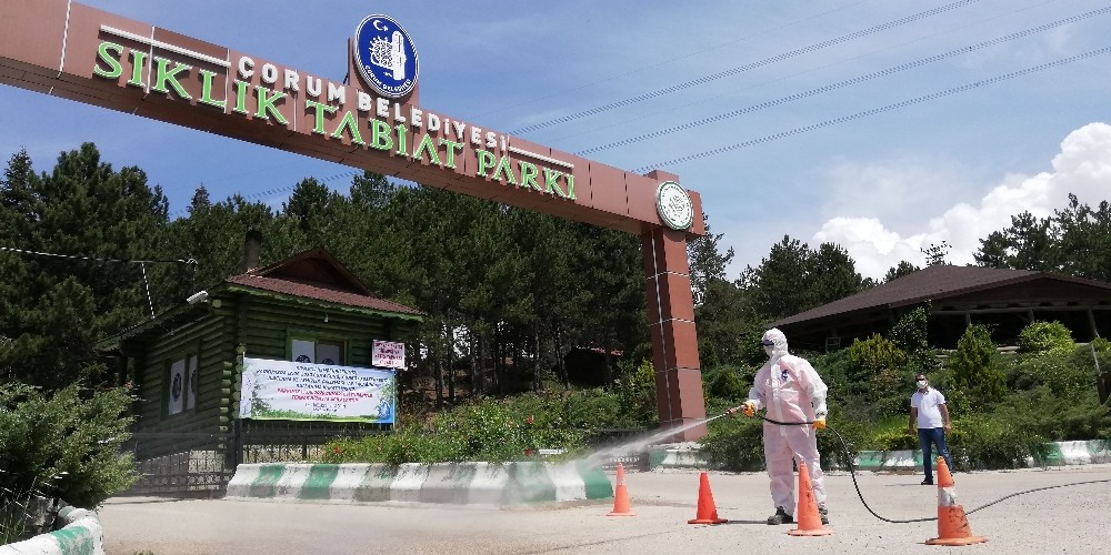 Çorum’da mesire alanlarında keneye karşı ilaçlandı 