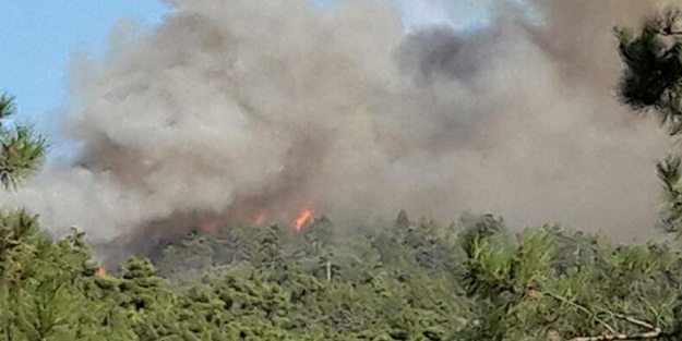 Çorum'da orman yangını kontrol altına alınamıyor