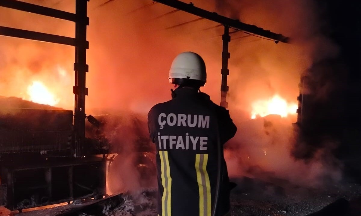 Çorum'da tırın dorsesi alev alev yandı