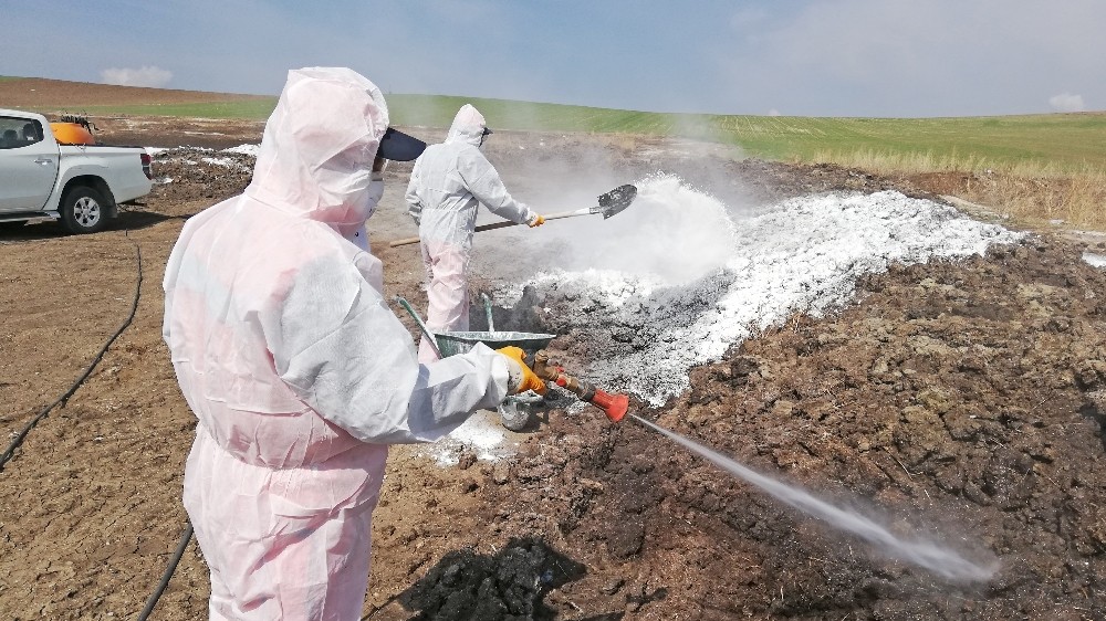 Çorum’da vektörel mücadele çalışmaları sürüyor 