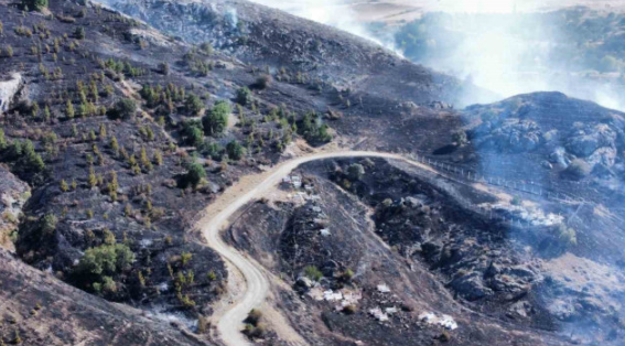 Çorum’daki orman yangını kontrol altına alındı