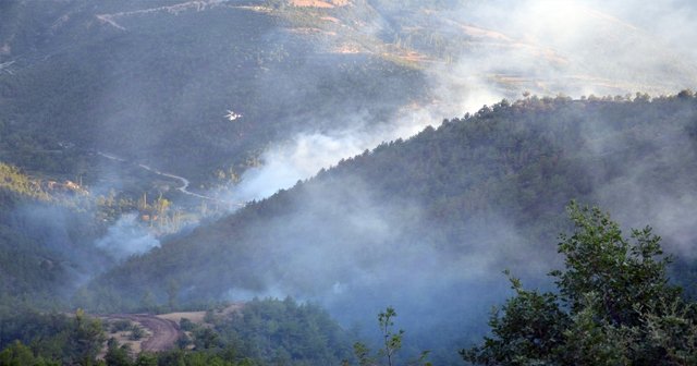 Çorum'daki yangın 3 gün sonra kontrol altına alındı