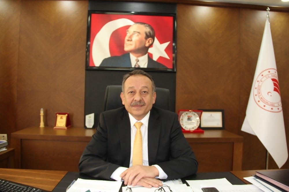 Çorum’dan 200 bin dolarlık yumurta ihracatı 