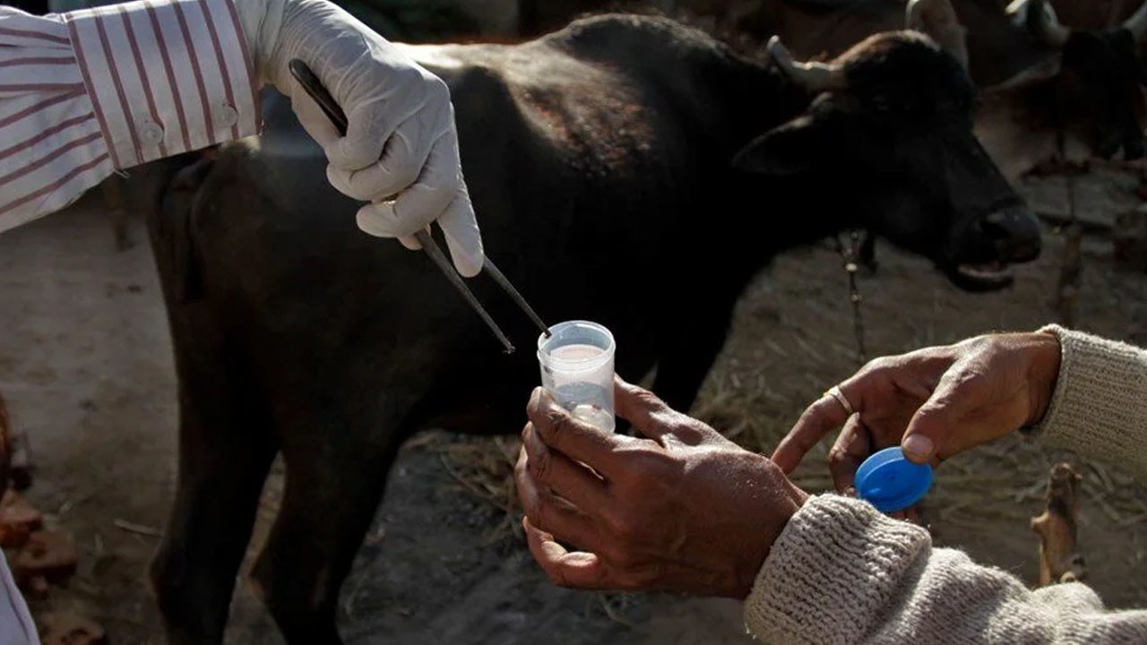 Covid, HMPV derken ABD’de önemli virüs paniğe neden oldu! Ölümcül hastalık tehdit artıyor