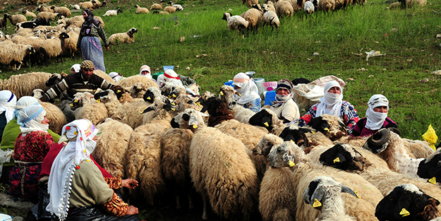 Çözüm süreci çiftçinin yüzünü güldürdü