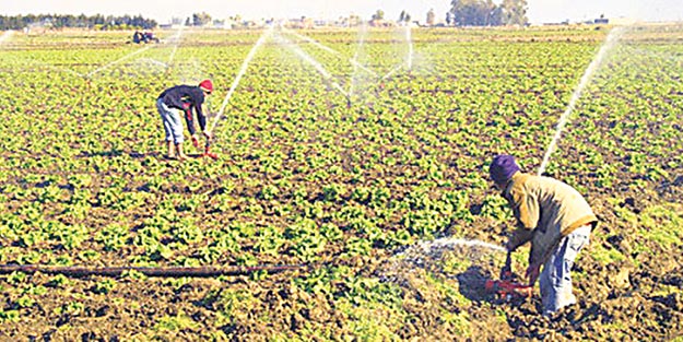 Çözüm süreci tarımı artırdı