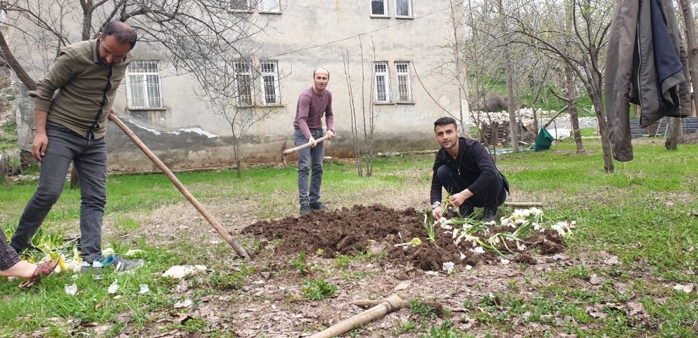 Çukurca’da tarlalar ekilmeye başlandı 