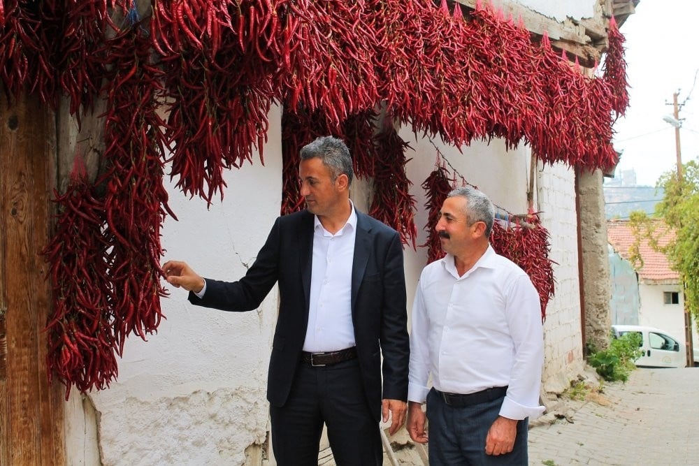 Çukurören biberi artık bir marka 