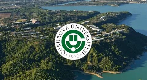 Çukurova Üniversitesi Öğretim Üyesi alıyor