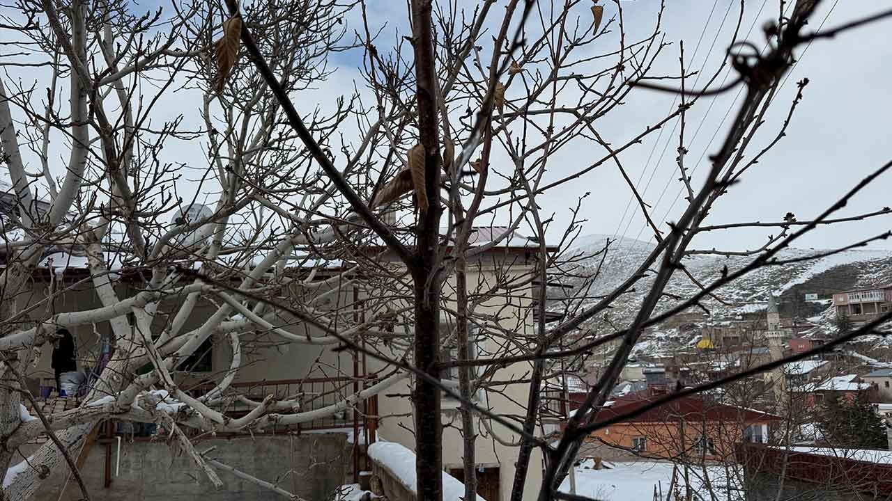 Çukurova'da 52 yılın en büyük müjdesi! Kuraklık bitti, çiftçi bayram ediyor!