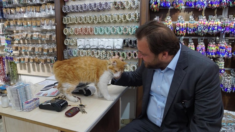 Cumhur İttifakı Adayı Yazıcı: “Birlikte çalışarak Marmaris’in vitesini büyüteceğiz” 