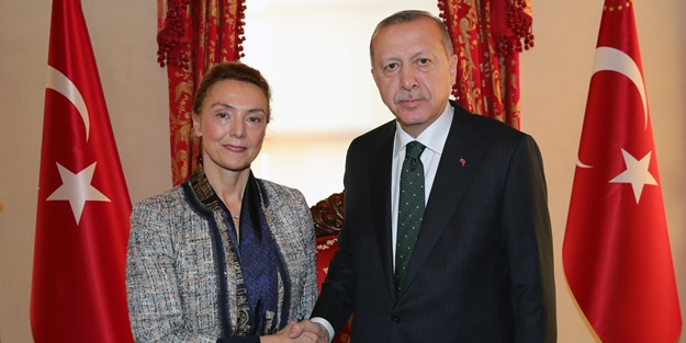 Cumhurbaşkanı Erdoğan, AB'li ismi kabul etti