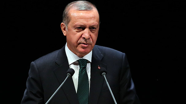'Almanya kendine çekidüzen versin'