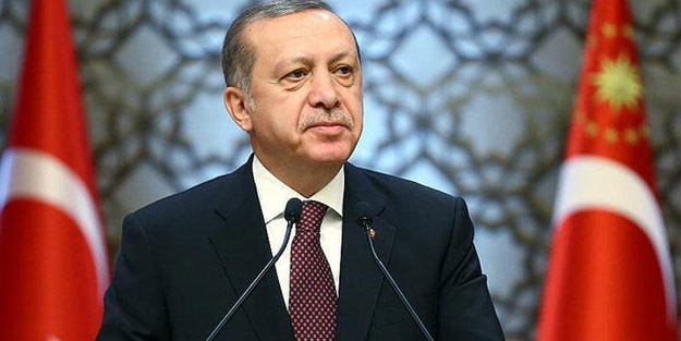 Cumhurbaşkanı Erdoğan imzaladı! İki ilimize elektrik ve doğal gaz müjdesi