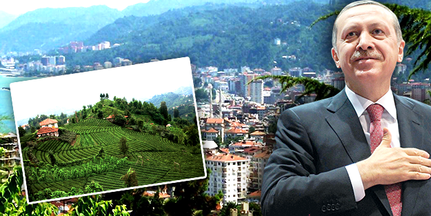 Cumhurbaşkanı Erdoğan Rize'yi yazdı