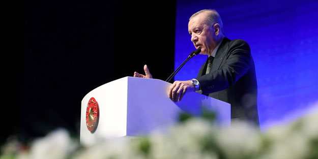 Cumhurbaşkanı Erdoğan'dan sokak köpeği açıklaması: Kritik bir sınav