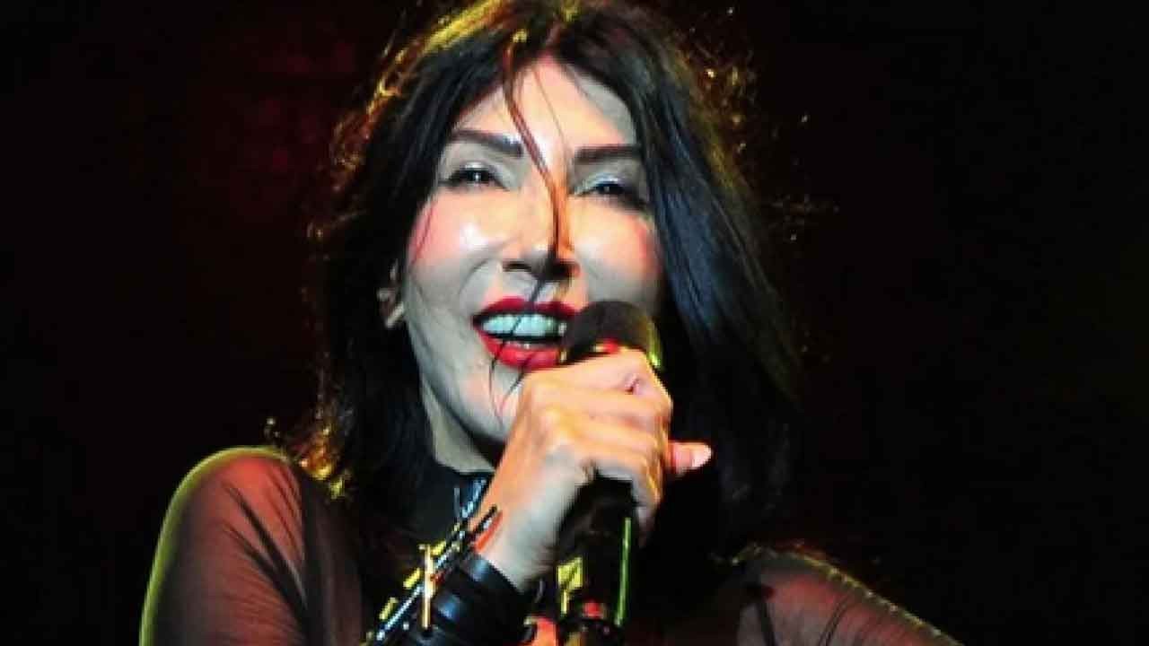 Cumhurbaşkanına hakaret, Anayasal düzeni hedef alma, Mevcut iktidarı devirme...Hande Yener'in skandalına soruşturma