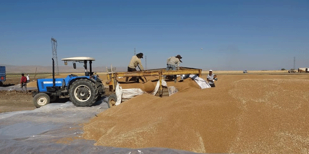 Cumhuriyet tarihinin rekoru! Depolar tıka basa dolup taştı